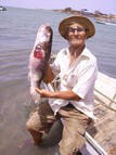 Butterfish caught in the creeks