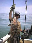 Sport Fishing for Snappers