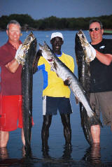 Huge Guinean Barracudas 48lb & 46lb caught in the Gambia River