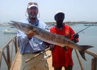 IGFA - 4lb Line Class Record - Guinean Barracuda