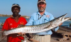 IGFA - 6lb Line Class Record - Guinean Barracuda