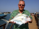 Alexandria Pompano/African Threadfish