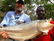 IGFA - All Tackle World Record - Tigerfish - The Gambia