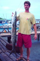 22lb Barracuda