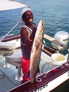 Cpt. Dembo holds up Barracuda