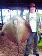 Geoff Maskew - 70lb Stingray