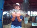 White Grouper - Alex