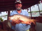 Guinean Snapper - Stan Nabozny