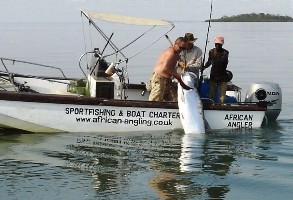 200lb+ Tarpon - The Gambia River - Angler: David Bate