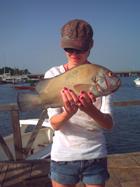 Jay and Thick-lipped Grouper