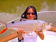 Freshwater Tigerfish caught in The Gambia River