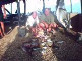 Variety of Fish - Morris