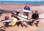 Angler: Ray Umanna - 75lb Guinean Barracuda