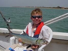Angler Dylan Toy