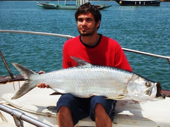 Large pods of tarpon, averaging 20lb to 60lbs, move into the shallow inshore coastal waters of The Gambia. They are a delight to catch on light fishing tackle outfits.