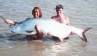 Angler Julian Ashpole with 200 plus Tarpon 