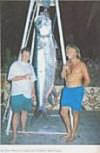 World Record Size Tarpon